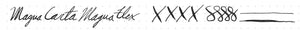 Magna Carta Mag 600 Fountain Pen 14k True Flex Nib 4