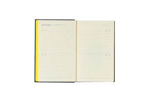 Midori 10 Year Diary Blue