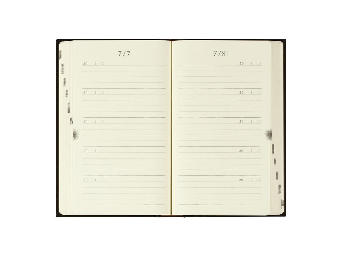 Midori 5 Years Diary - Door - Black