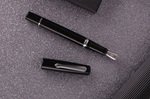 Narwhal Fountain Pen - Original Black+ Leather Pen Sleeve-Galen Leather