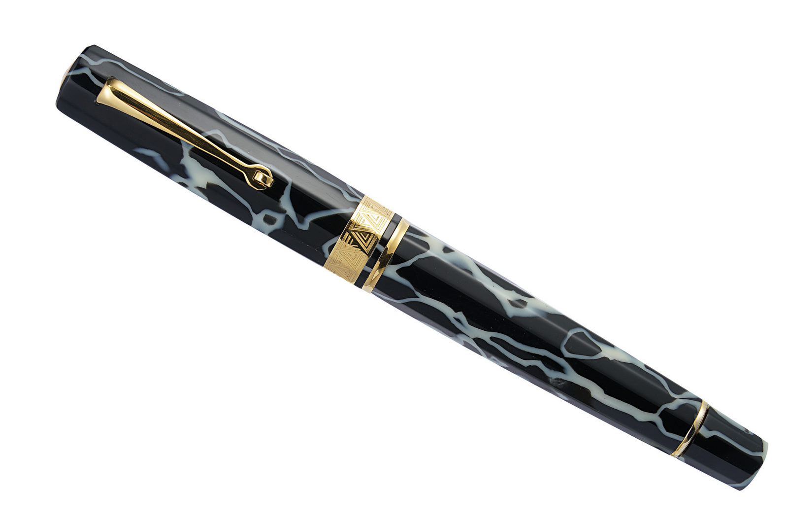 OMAS Paragon Fountain Pen in Wild with Gold Trim