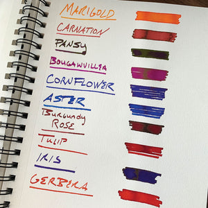 Diamine Flower Pansy Fountain Pen Ink