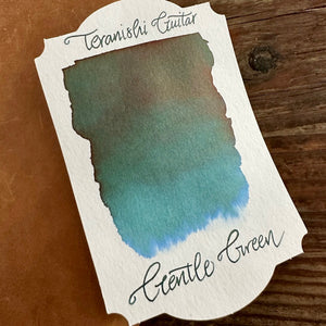 Teranishi Guitar Taisho Roman Haikara Ink - Gentle Green