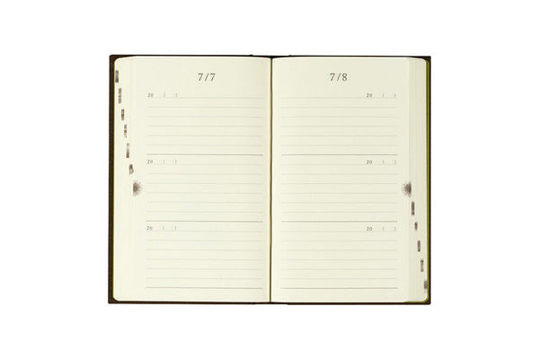 Midori-3-Years-Diary-Door-