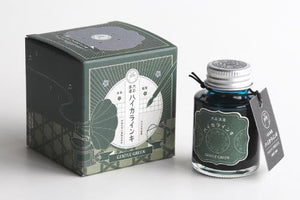 Teranishi Guitar Taisho Roman Haikara Ink - Gentle Green