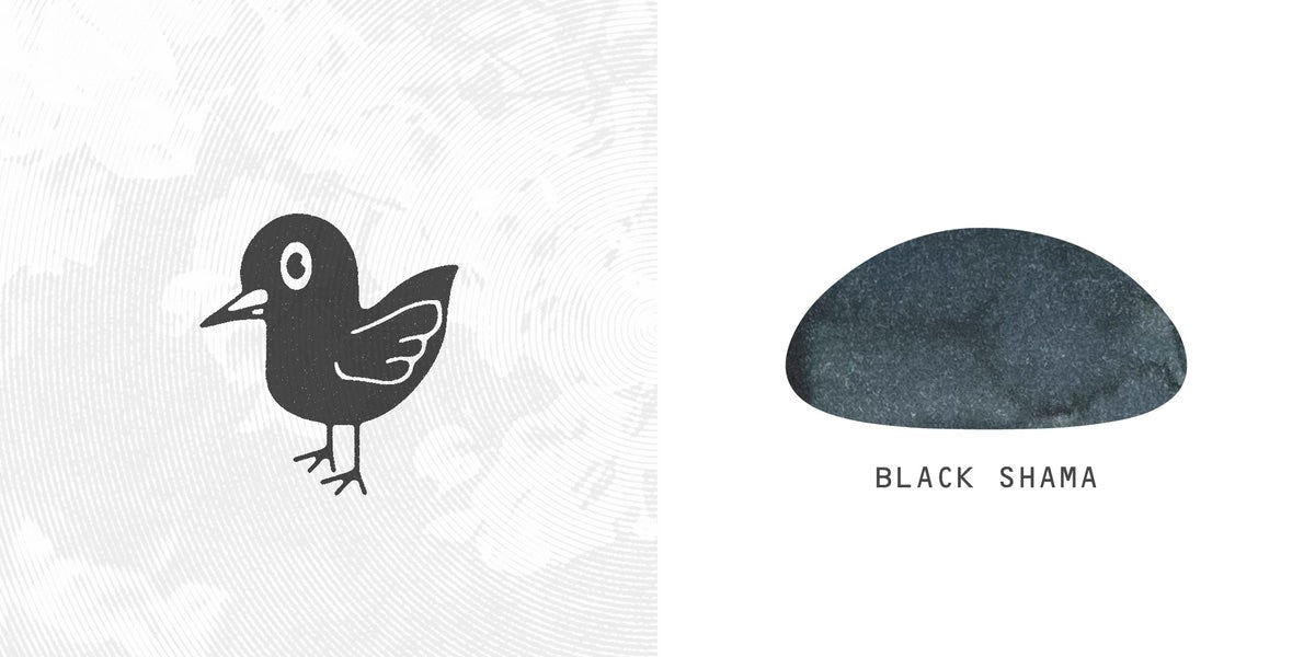 Troublemaker Black Shama Ink