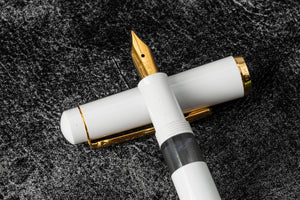 Scrikss 419 Fountain Pen White-Galen Leather