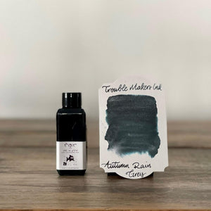 Troublemaker Autumn Rain Gray Shimmer Ink-bottle